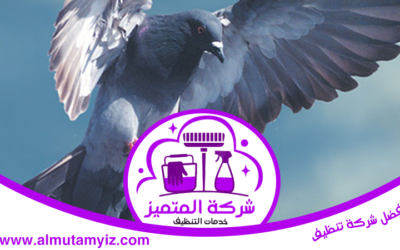 شركة مكافحة الحمام دبي