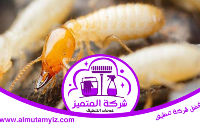 شركة مكافحة الرمة في الشارقة