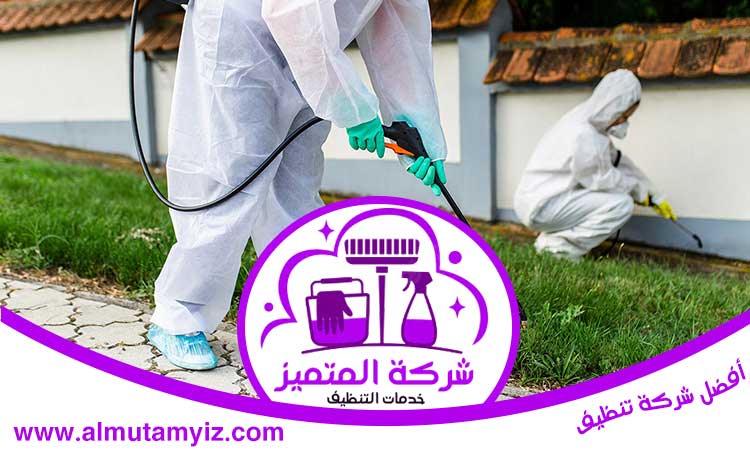شركة مكافحة الصراصير في عجمان