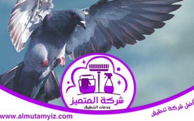 شركة مكافحة الطيور في العين