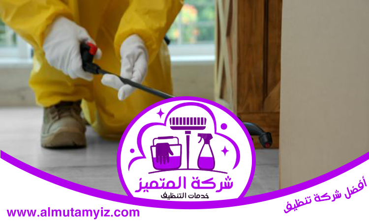 شركة مكافحة حشرات في عجمان