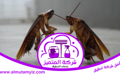 شركة مكافحة الصراصير في ابوظبي 0589922324
