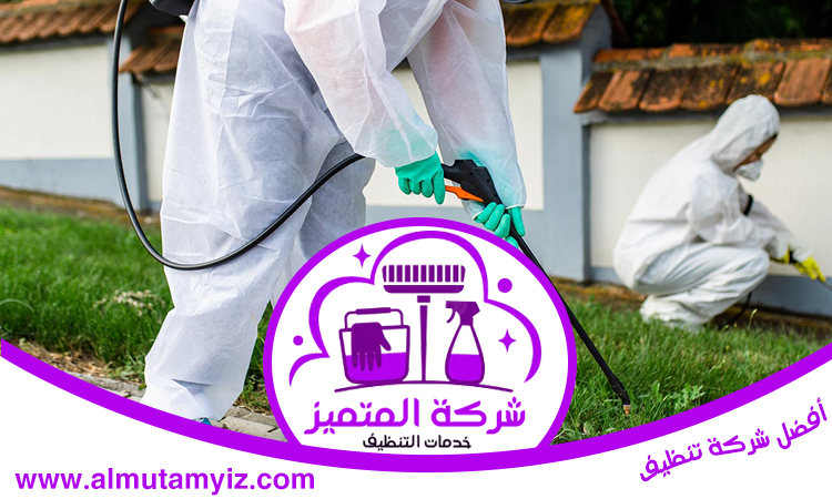 شركة مكافحة حشرات في الرحمانية