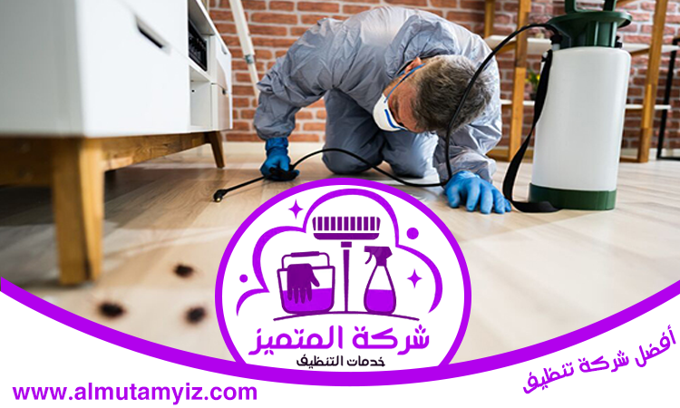 شركة مكافحة النمل في الفجيرة