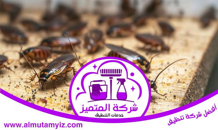 شركة مكافحة الصراصير في الفجيرة 4 شركة مكافحة الصراصير في الفجيرة