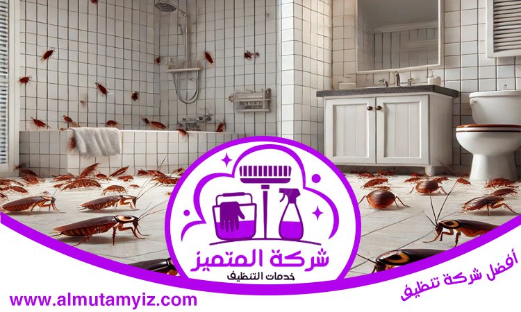 شركة مكافحة الصراصير في الفجيرة 3 شركة مكافحة الصراصير في الفجيرة