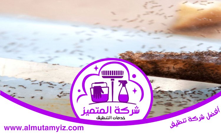 مكافحة النمل في ام القيوين 5 مكافحة النمل في ام القيوين