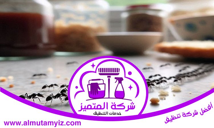 شركة مكافحة النمل في الشارقة 4 شركة مكافحة النمل في الشارقة