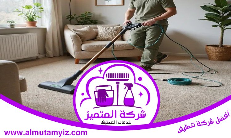 شركة تنظيف فلل