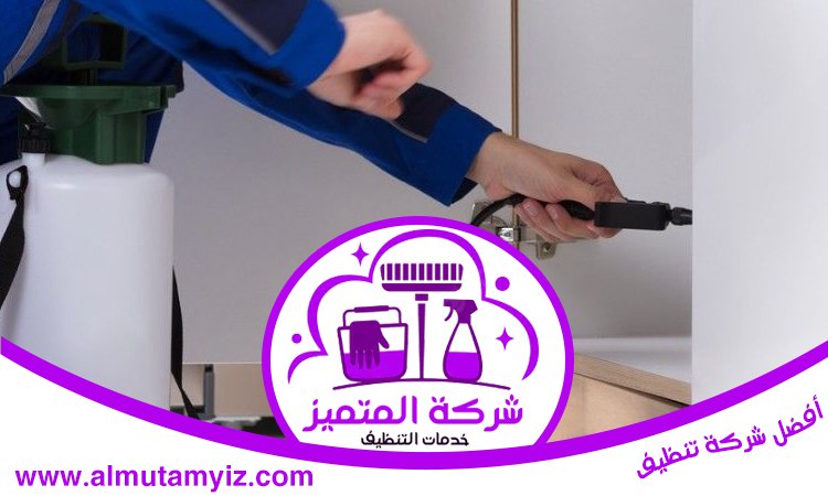 شركة مكافحة حشرات في العين 5 شركة مكافحة حشرات في العين