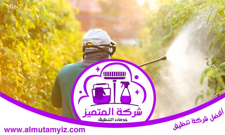 شركة مكافحة حشرات في دبي 4 شركة مكافحة حشرات في دبي