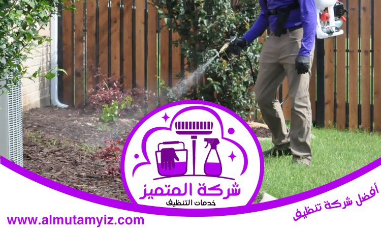 شركة مكافحة حشرات في خورفكان 3 شركة مكافحة حشرات في خورفكان
