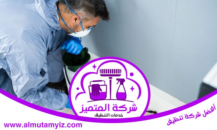شركة مكافحة حشرات في التعاون 3 شركة مكافحة حشرات في التعاون