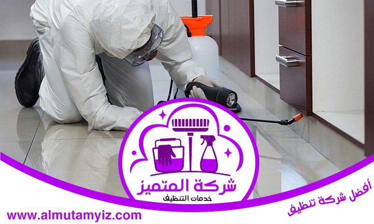 مكافحة حشرات في رأس الخيمة 4 مكافحة حشرات في رأس الخيمة