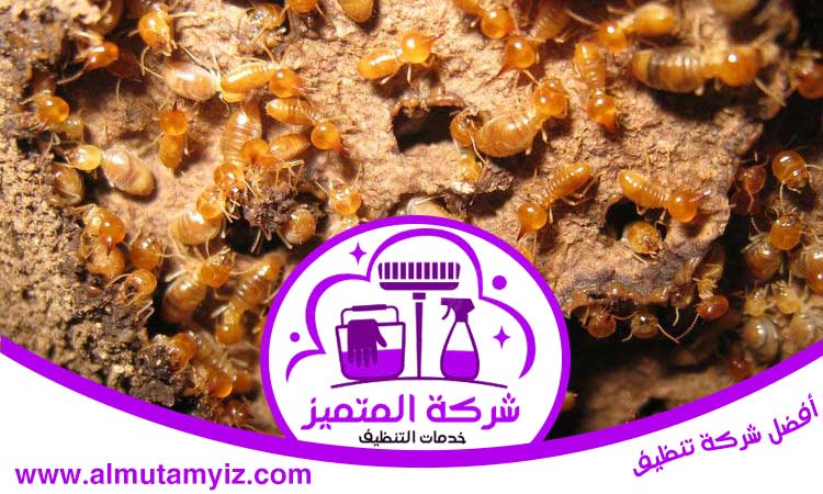 شركة مكافحة الرمة في القرائن