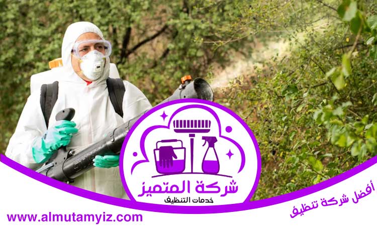 شركة مكافحة حشرات في القرائن