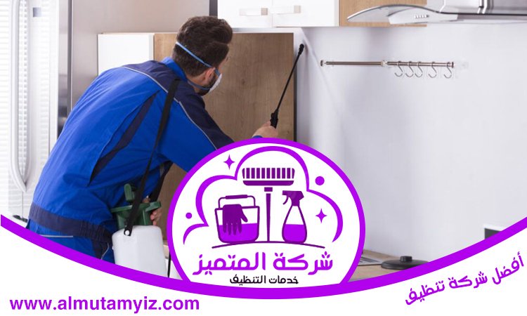 مكافحة حشرات المطبخ دبي 4 مكافحة حشرات المطبخ دبي