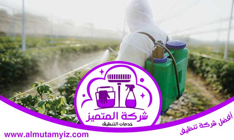 شركة رش مبيدات الشارقة 3 شركة رش مبيدات الشارقة