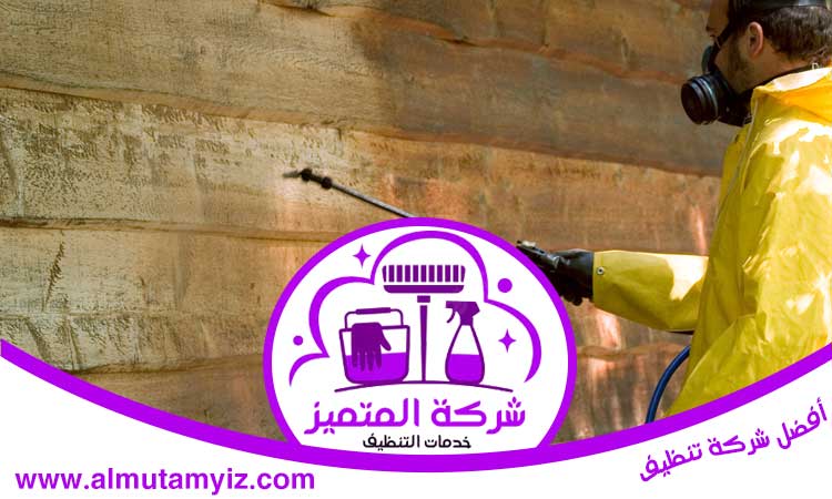شركة مكافحة حشرات في كلباء