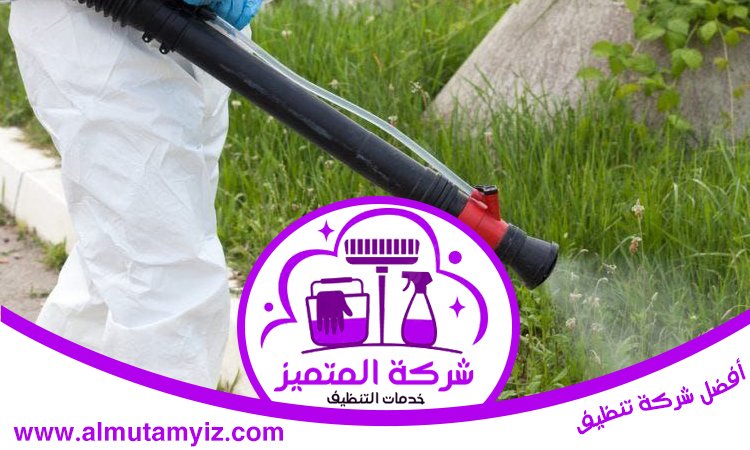 شركة مكافحة حشرات في الفجيرة 3 شركة مكافحة حشرات في الفجيرة
