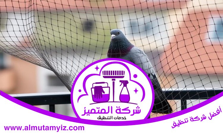 شركة مكافحة الطيور في العين 3 شركة مكافحة الطيور في العين