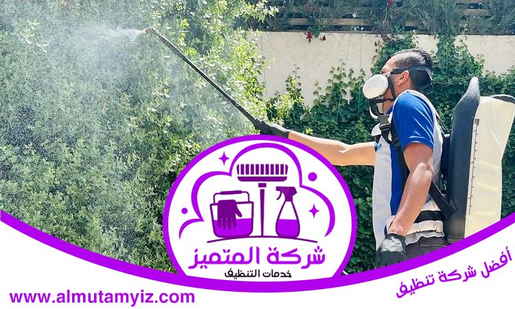 شركة مكافحة الرمة في دبي 4 شركة مكافحة الرمة في دبي