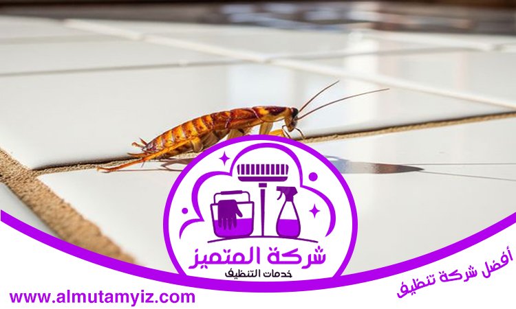 شركة مكافحة الصراصير في عجمان 2 شركة مكافحة الصراصير في عجمان