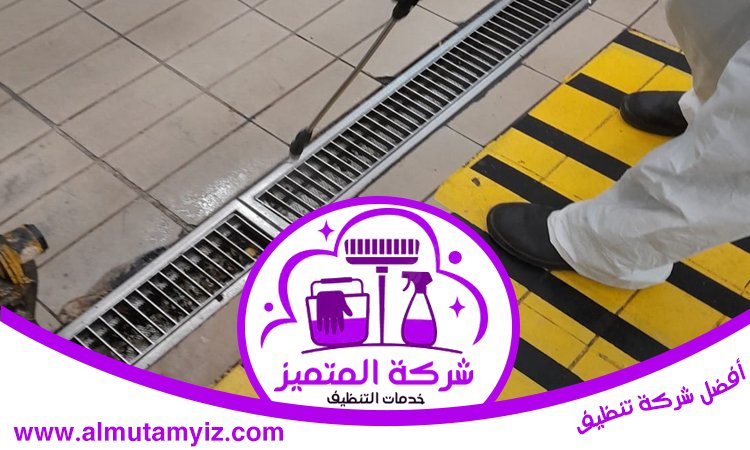 شركة مكافحة الصراصير في عجمان 5 شركة مكافحة الصراصير في عجمان