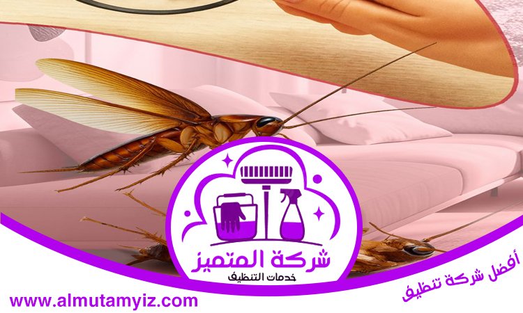 شركة مكافحة الصراصير في عجمان 4 شركة مكافحة الصراصير في عجمان