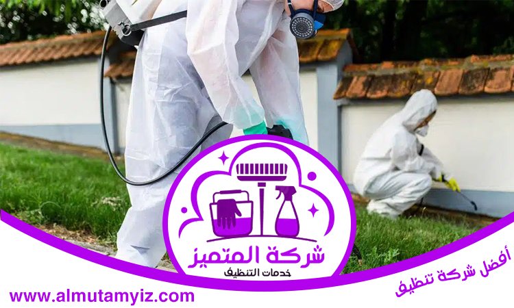 شركة مكافحة حشرات في كلباء 2 شركة مكافحة حشرات في كلباء