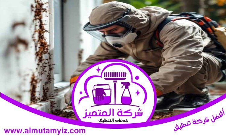 شركة مكافحة حشرات في دبا الحصن 3 شركة مكافحة حشرات في دبا الحصن