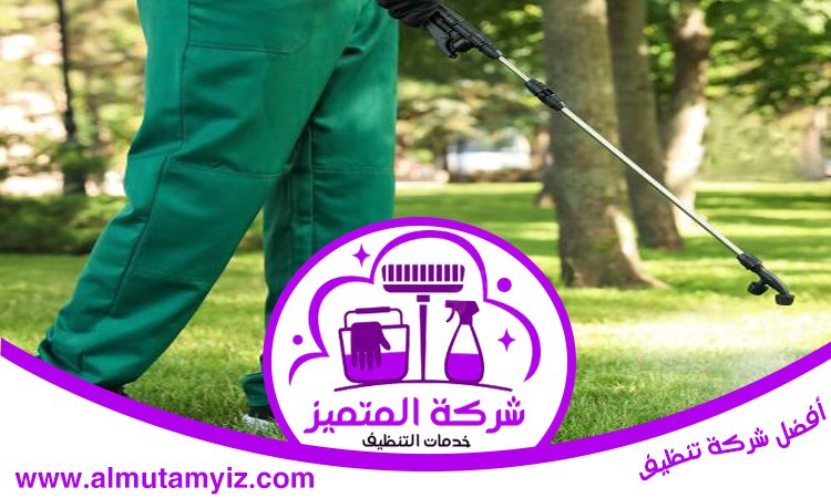 شركة مكافحة حشرات في خورفكان 4 شركة مكافحة حشرات في خورفكان