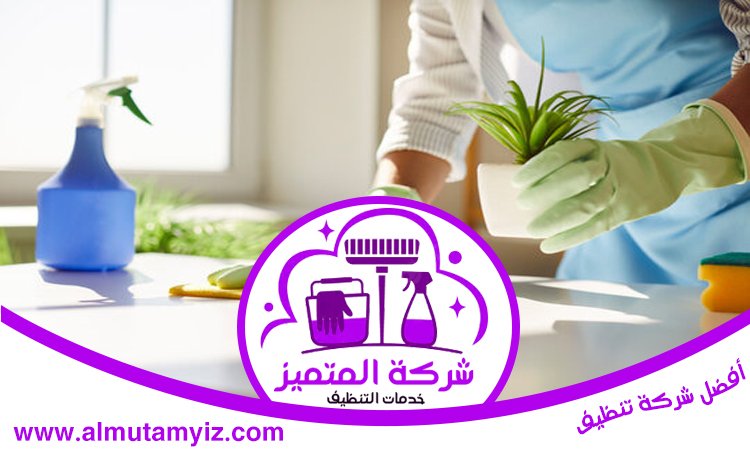  شركة تنظيف بيوت في عجمان
