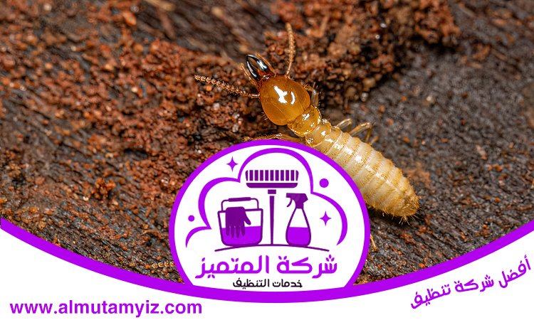 شركة مكافحة الرمة في الرحمانية