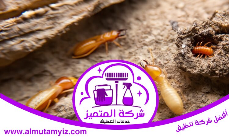 شركة مكافحة الرمة في الرحمانية