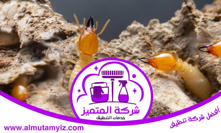 مكافحة الرمة