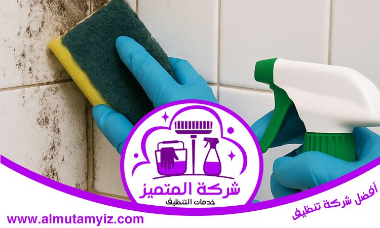 شركة تنظيف حوائط في الشارقة 2 شركة تنظيف حوائط في الشارقة