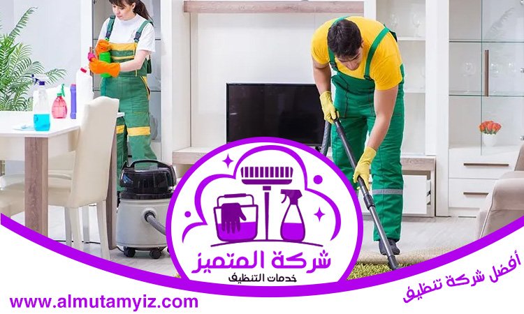 شركة تنظيف في الضاحية