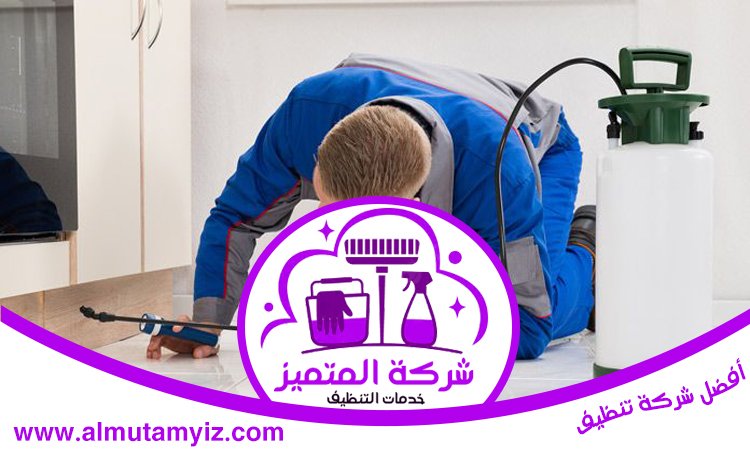 شركة مكافحة حشرات في الشارقة 2 شركة مكافحة حشرات في الشارقة