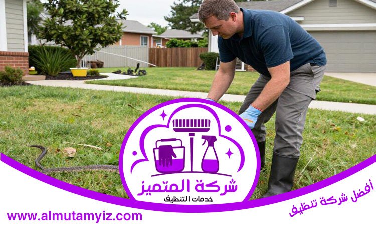 شركة مكافحة الأفاعي في دبي 3 شركة مكافحة الأفاعي