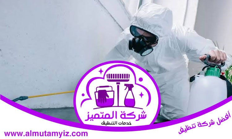 شركة مكافحة الصراصير في دبي 4 شركة مكافحة الصراصير في دبي