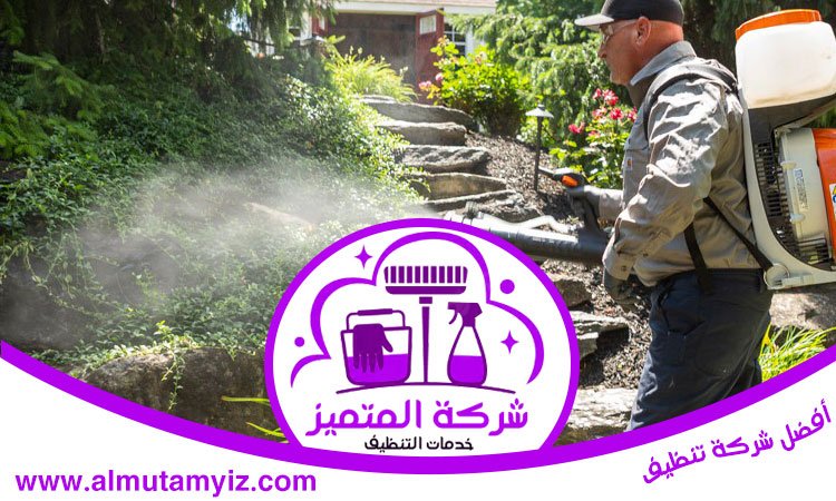 شركة مكافحة العثة في دبي 3 شركة مكافحة العثة