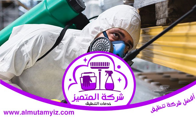 شركة مكافحة العثة في دبي 4 شركة مكافحة العثة