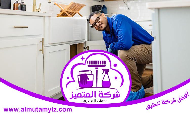 شركة مكافحة الفئران في دبي 4 شركة مكافحة الفئران