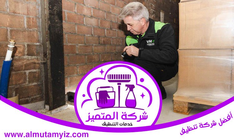 شركة مكافحة الفئران في دبي 3 شركة مكافحة الفئران