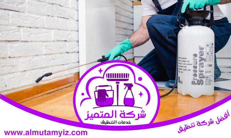 شركة مكافحة حشرات في دبي 4 شركة مكافحة حشرات